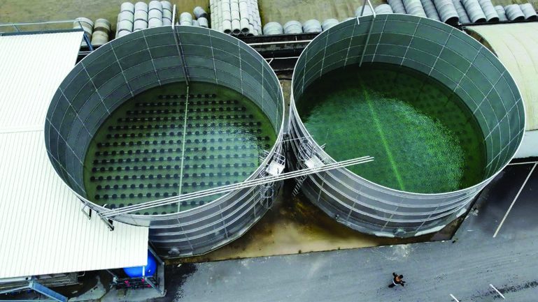 Wastewater treatment and reuse
